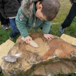 Musée des mégalithes de Changé - visites scolaires 28-29/10/2015 - 01